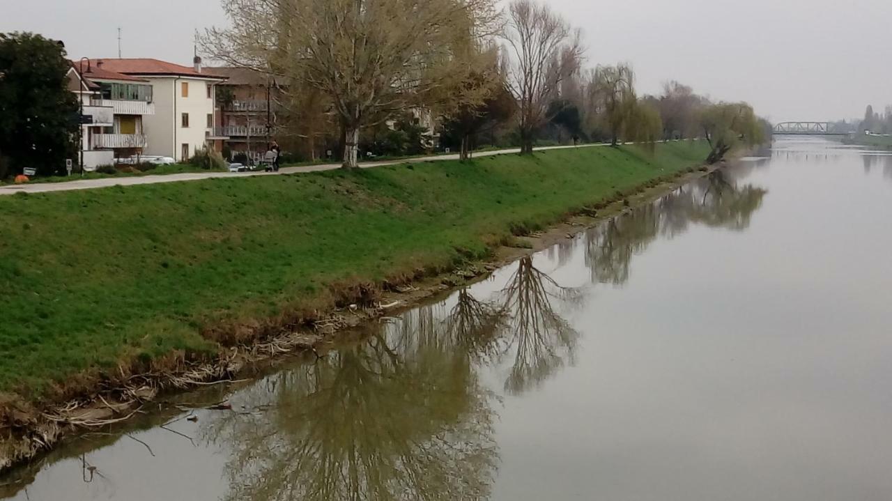 Vicino Al Prato Della Valle Intero Appartamento Parcheggio Facile Di Fronte بادوفا المظهر الخارجي الصورة